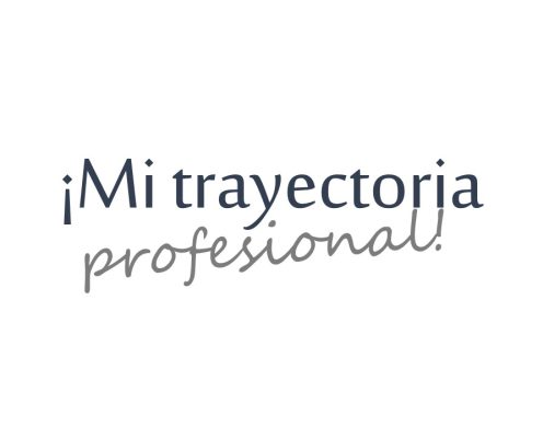 Experiencia profesional