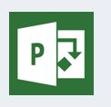 Microsoft Project Professional